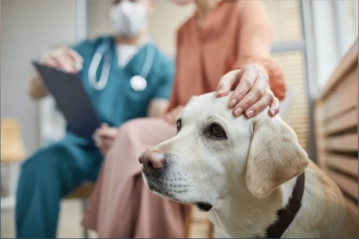Protecting Your Furry Friends: A Warning for Dog Owners - 1148590120
