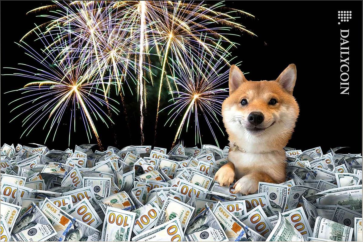 Shiba Inu (SHIB) Witnesses Surge in Accumulation by Large Holders - -1040865380